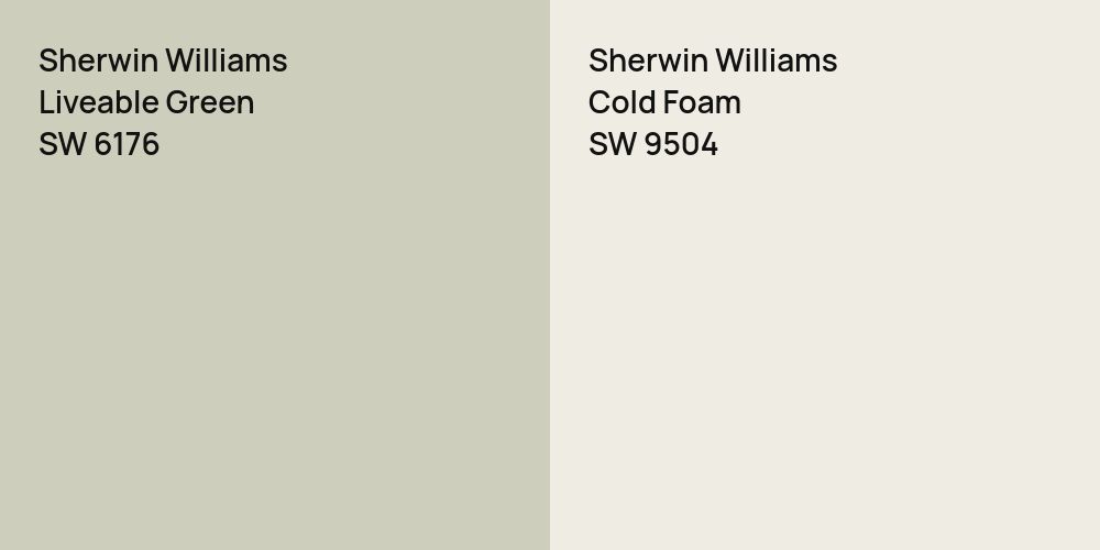 Sherwin Williams Liveable Green vs. Sherwin Williams Cold Foam