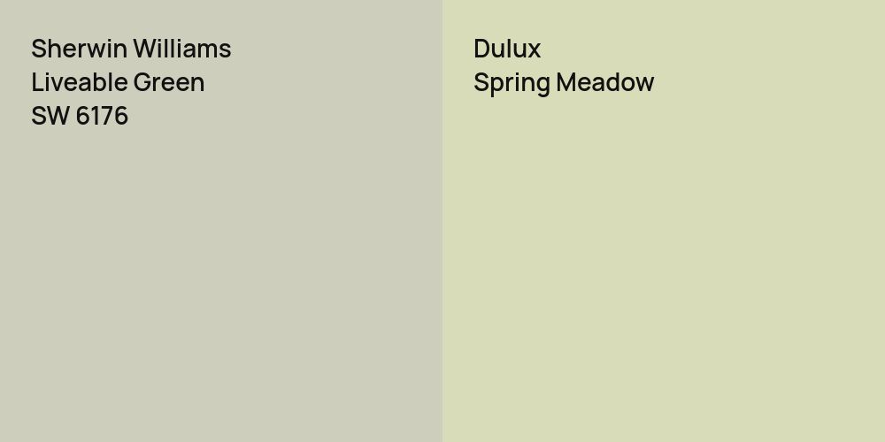 Sherwin Williams Liveable Green vs. Dulux Spring Meadow