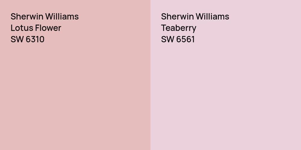 Sherwin Williams Lotus Flower vs. Sherwin Williams Teaberry