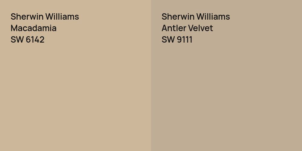 Sherwin Williams Macadamia vs. Sherwin Williams Antler Velvet