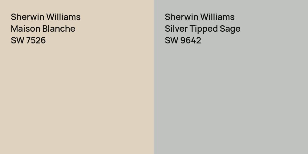 Sherwin Williams Maison Blanche vs. Sherwin Williams Silver Tipped Sage