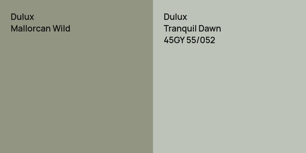 Dulux Mallorcan Wild vs. Dulux Tranquil Dawn