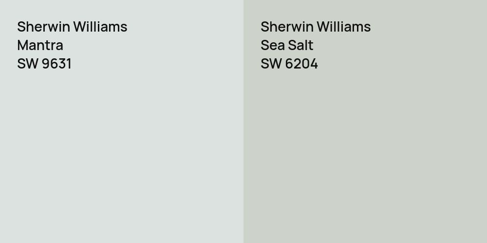 Sherwin Williams Mantra vs. Sherwin Williams Sea Salt