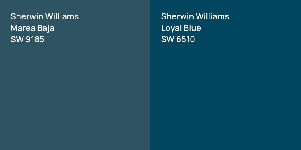 Sherwin Williams Marea Baja vs. Sherwin Williams Loyal Blue