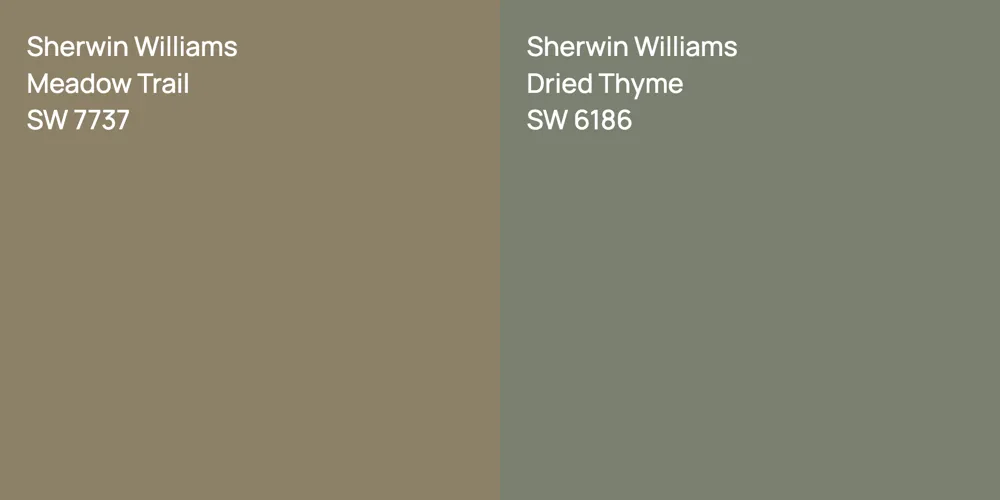 Sherwin Williams Meadow Trail vs. Sherwin Williams Dried Thyme