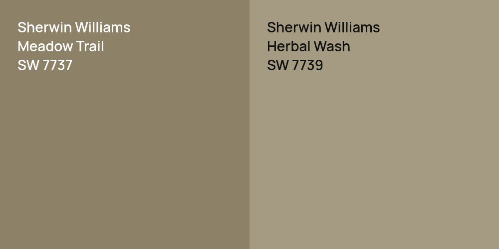 Sherwin Williams Meadow Trail vs. Sherwin Williams Herbal Wash