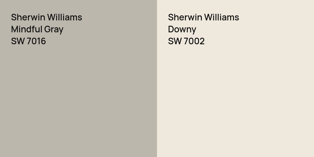 Sherwin Williams Mindful Gray vs. Sherwin Williams Downy