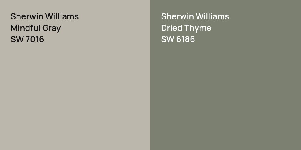 Sherwin Williams Mindful Gray vs. Sherwin Williams Dried Thyme