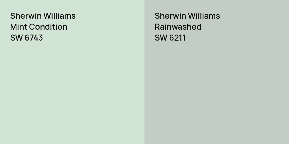 Sherwin Williams Mint Condition vs. Sherwin Williams Rainwashed