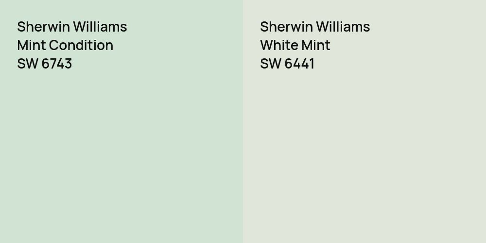 Sherwin Williams Mint Condition vs. Sherwin Williams White Mint