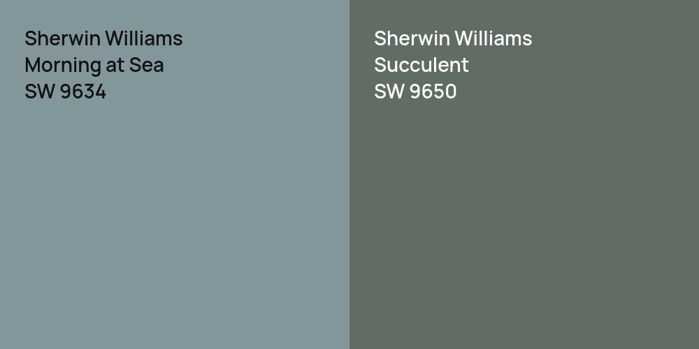 Sherwin Williams Morning at Sea vs. Sherwin Williams Succulent