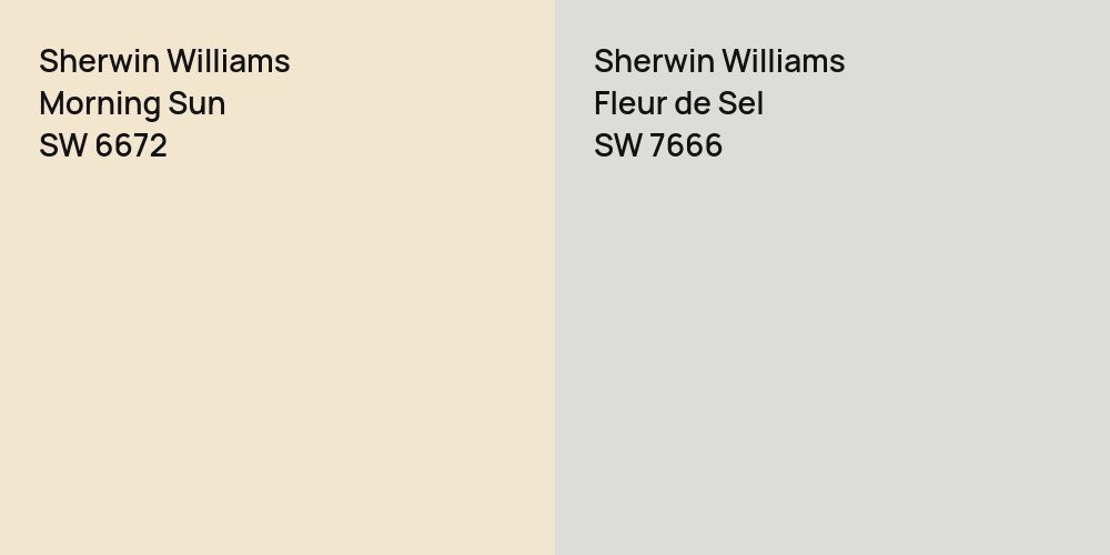 Sherwin Williams Morning Sun vs. Sherwin Williams Fleur de Sel