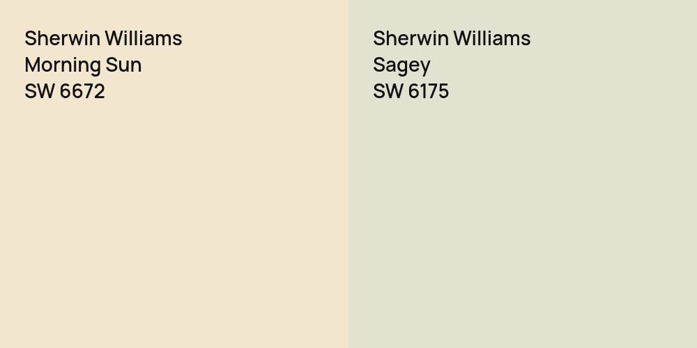 Sherwin Williams Morning Sun vs. Sherwin Williams Sagey