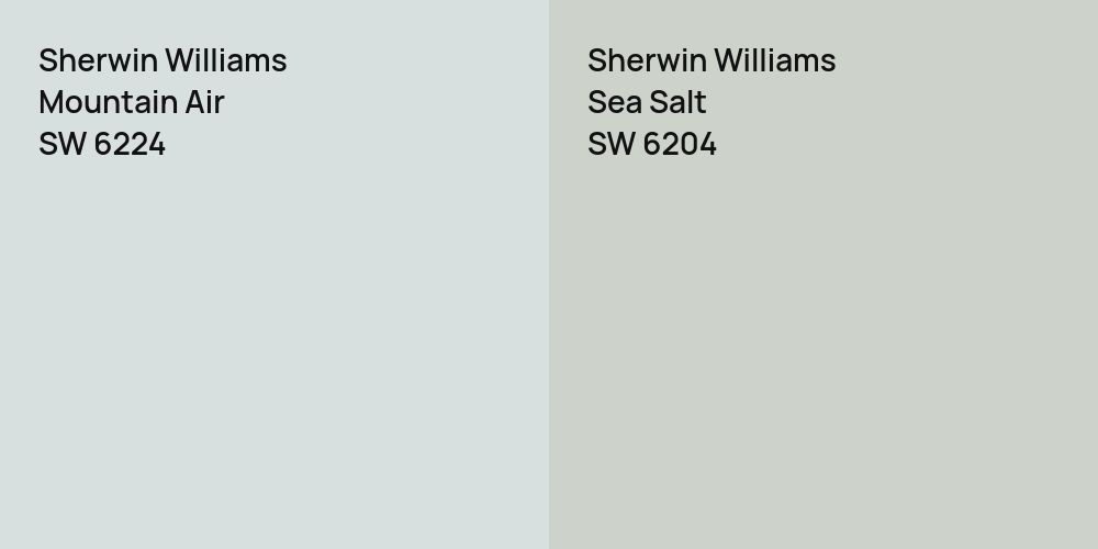 Sherwin Williams Mountain Air vs. Sherwin Williams Sea Salt