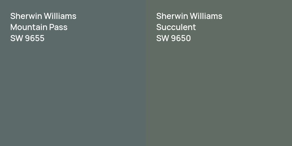 Sherwin Williams Mountain Pass vs. Sherwin Williams Succulent