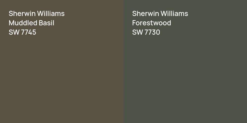 Sherwin Williams Muddled Basil vs. Sherwin Williams Forestwood