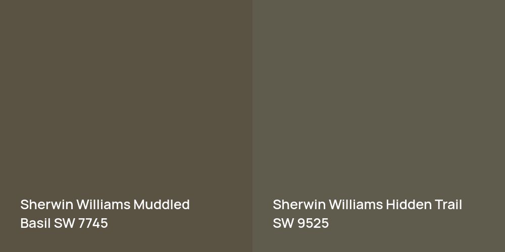 Sherwin Williams Muddled Basil vs. Sherwin Williams Hidden Trail