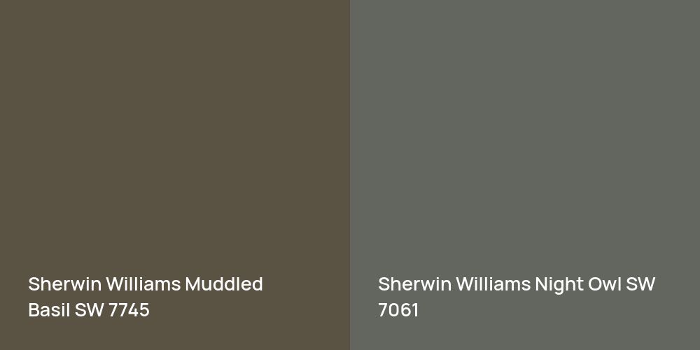 Sherwin Williams Muddled Basil vs. Sherwin Williams Night Owl