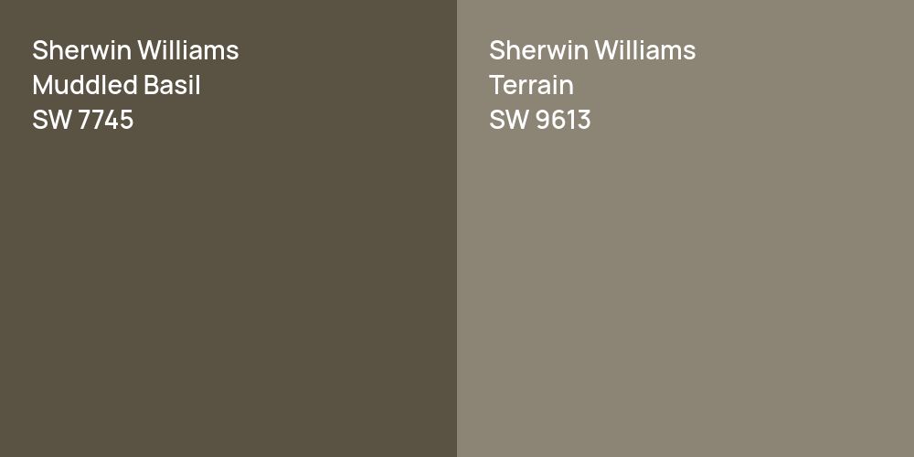 Sherwin Williams Muddled Basil vs. Sherwin Williams Terrain