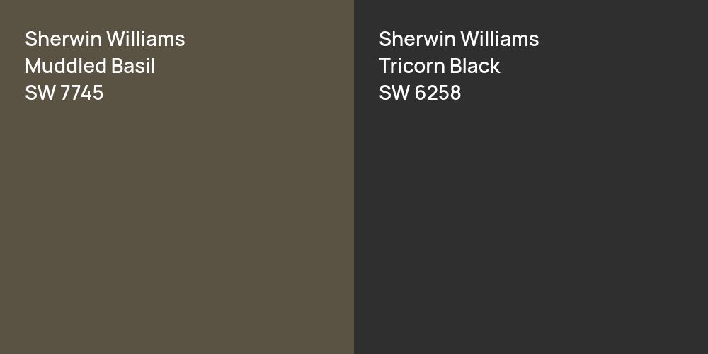 Sherwin Williams Muddled Basil vs. Sherwin Williams Tricorn Black