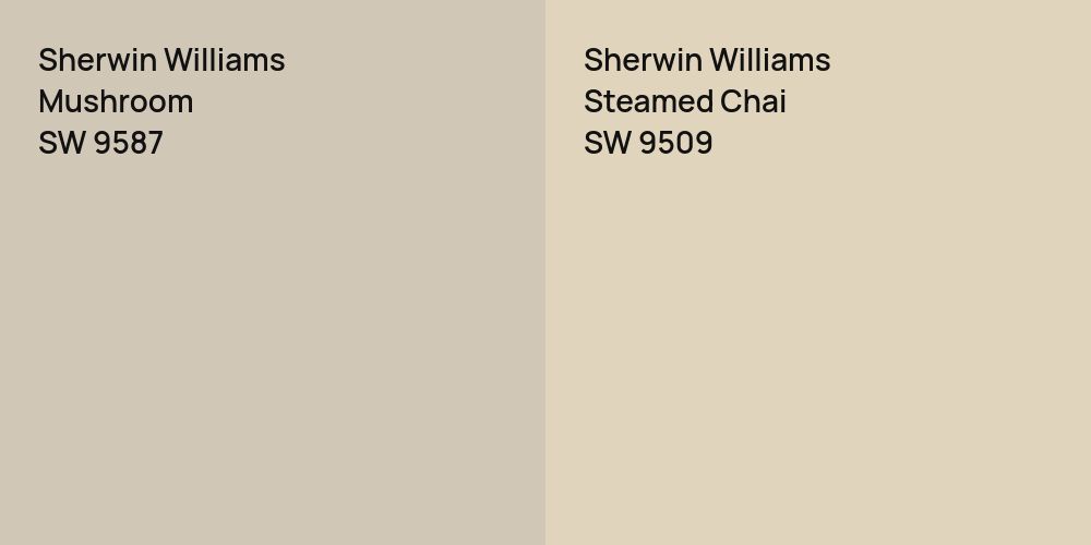 Sherwin Williams Mushroom vs. Sherwin Williams Steamed Chai