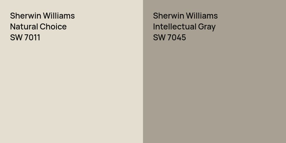 Sherwin Williams Natural Choice vs. Sherwin Williams Intellectual Gray