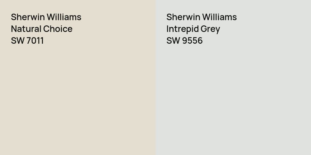 Sherwin Williams Natural Choice vs. Sherwin Williams Intrepid Grey