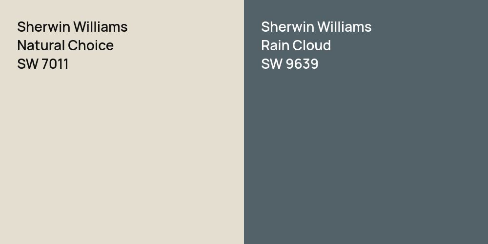 Sherwin Williams Natural Choice vs. Sherwin Williams Rain Cloud