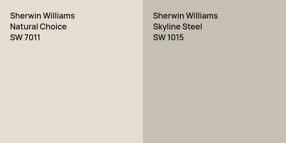 Sherwin Williams Natural Choice vs. Sherwin Williams Skyline Steel