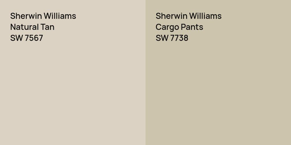 Sherwin Williams Natural Tan vs. Sherwin Williams Cargo Pants