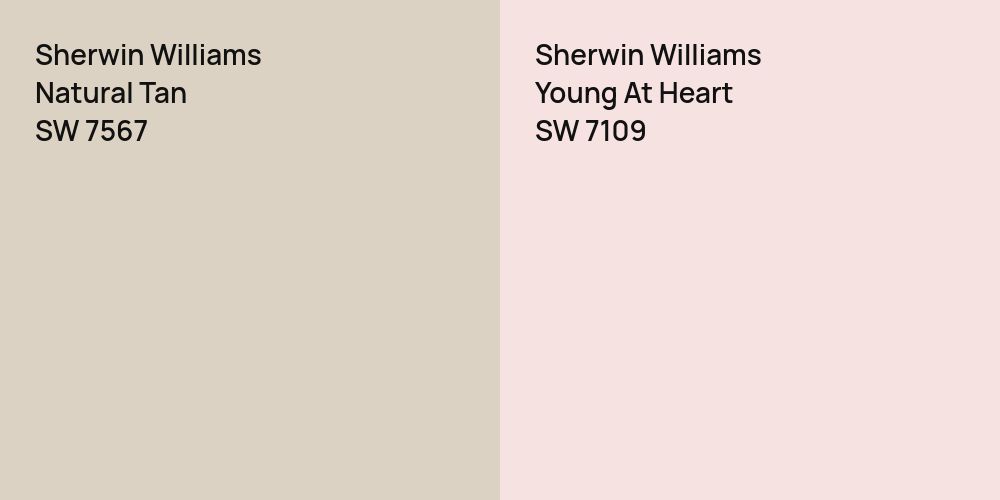 Sherwin Williams Natural Tan vs. Sherwin Williams Young At Heart