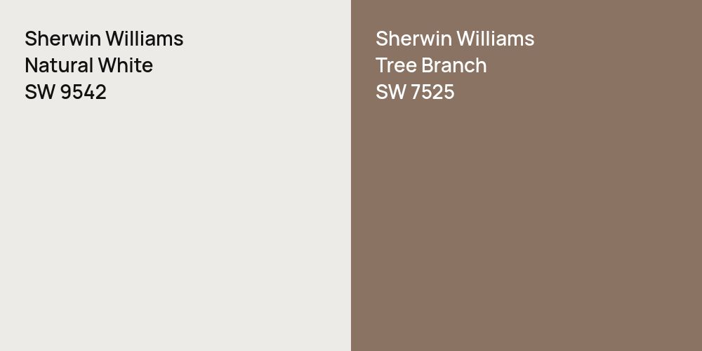 Sherwin Williams Natural White vs. Sherwin Williams Tree Branch