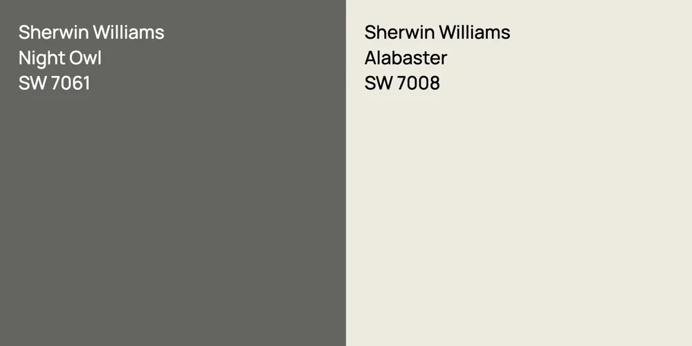 Sherwin Williams Night Owl vs. Sherwin Williams Alabaster