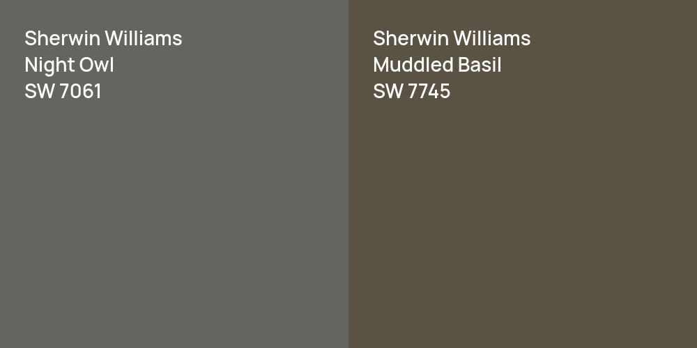 Sherwin Williams Night Owl vs. Sherwin Williams Muddled Basil