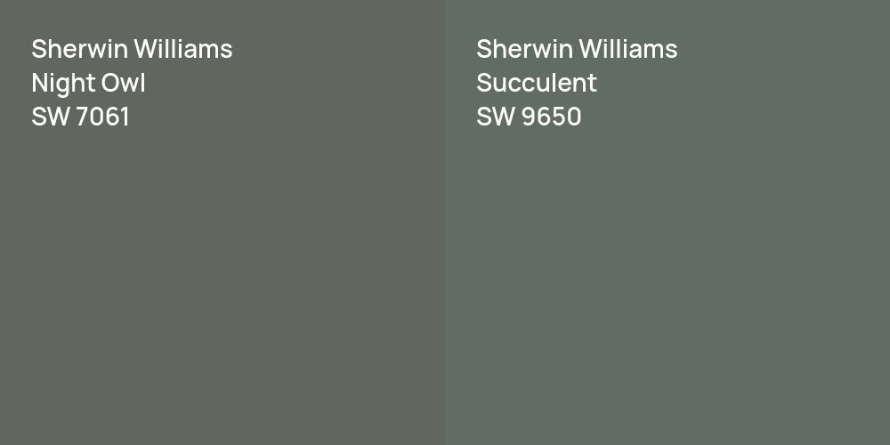 Sherwin Williams Night Owl vs. Sherwin Williams Succulent