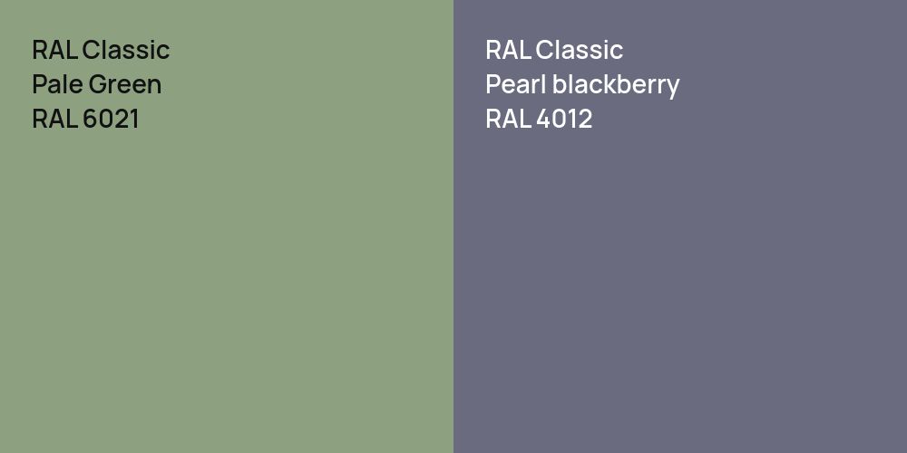 RAL Classic Pale Green vs. RAL Classic  Pearl blackberry