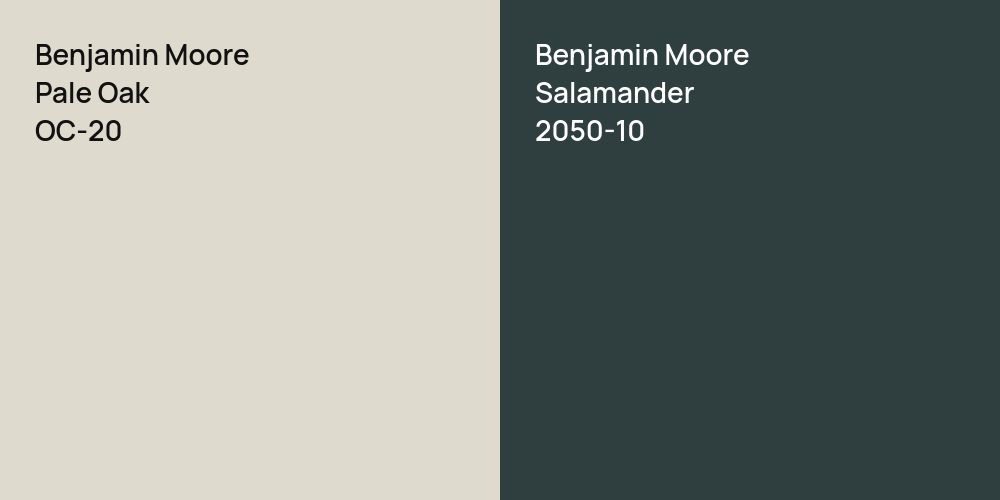 Benjamin Moore Pale Oak vs. Benjamin Moore Salamander