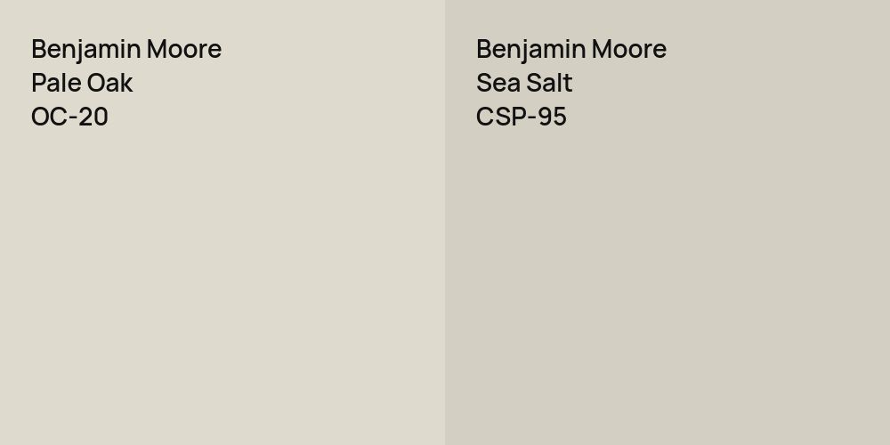 Benjamin Moore Pale Oak vs. Benjamin Moore Sea Salt