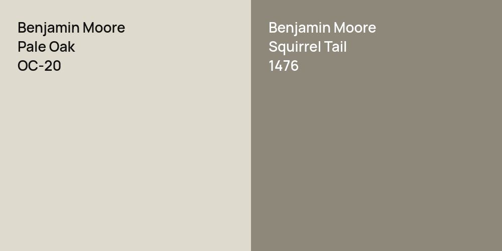 Benjamin Moore Pale Oak vs. Benjamin Moore Squirrel Tail