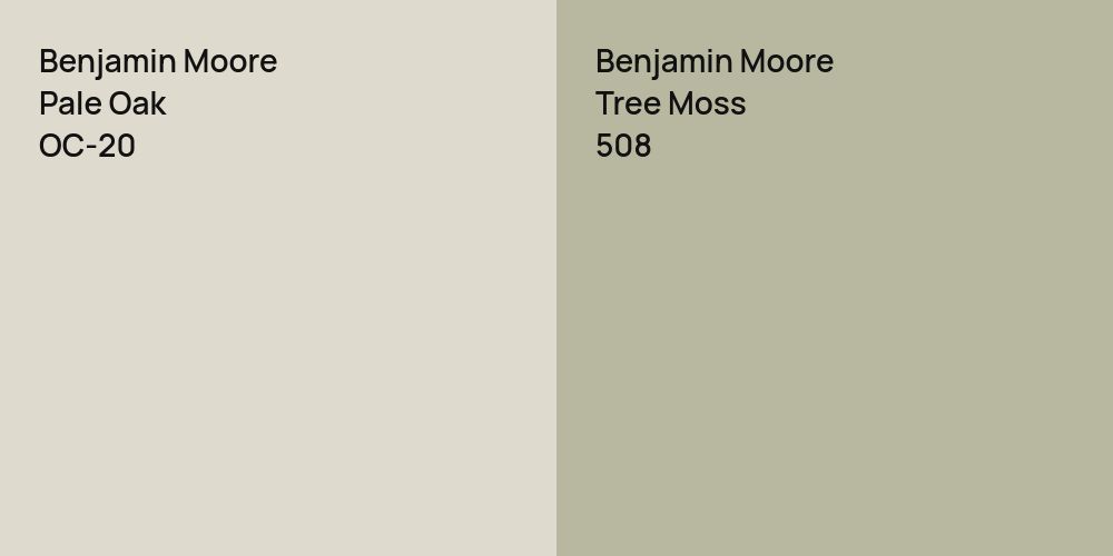 Benjamin Moore Pale Oak vs. Benjamin Moore Tree Moss