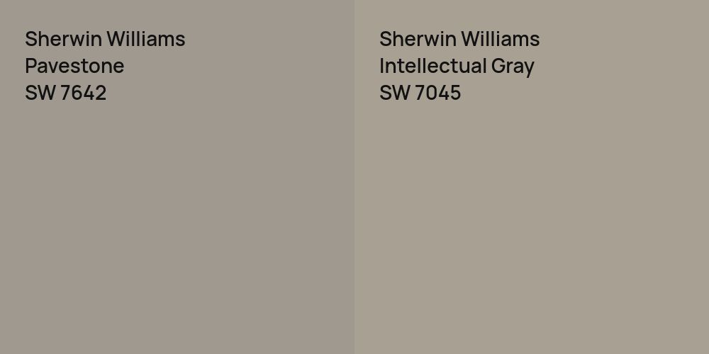 Sherwin Williams Pavestone vs. Sherwin Williams Intellectual Gray