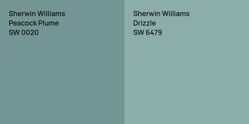 Sherwin Williams Peacock Plume vs. Sherwin Williams Drizzle