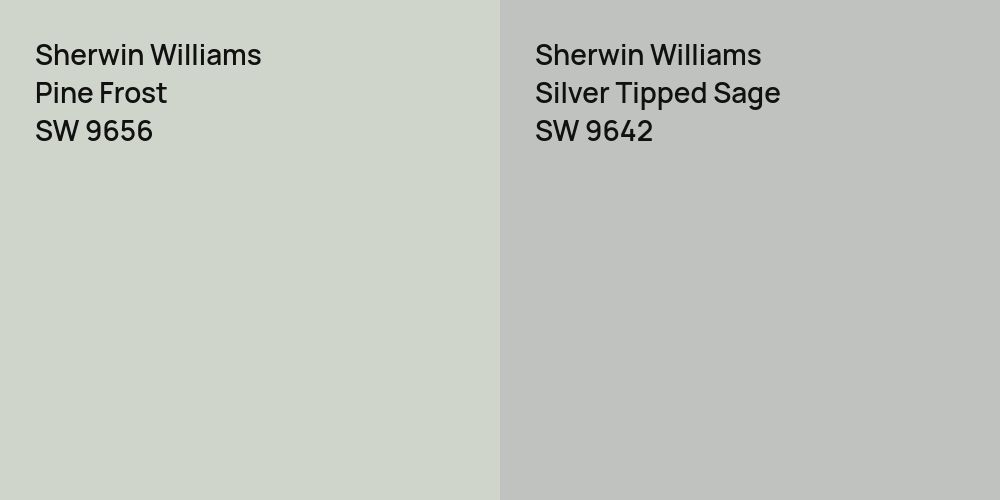 Sherwin Williams Pine Frost vs. Sherwin Williams Silver Tipped Sage