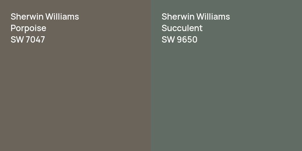 Sherwin Williams Porpoise vs. Sherwin Williams Succulent