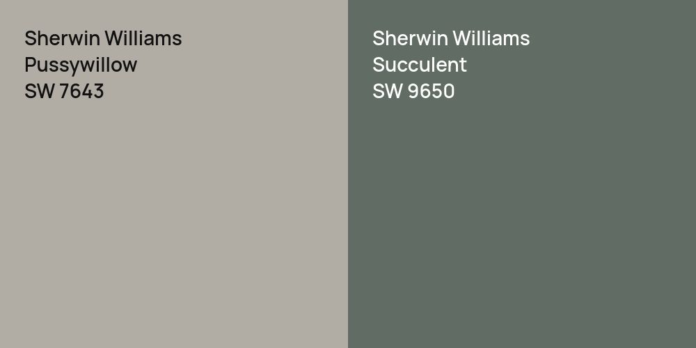 Sherwin Williams Pussywillow vs. Sherwin Williams Succulent