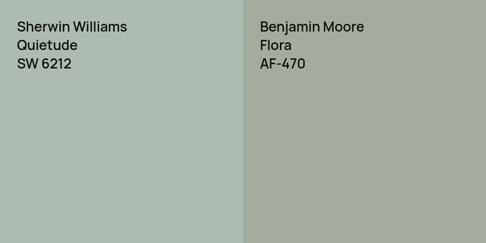 Sherwin Williams Quietude vs. Benjamin Moore Flora