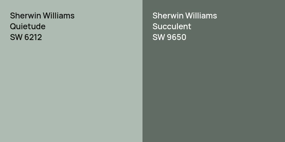 Sherwin Williams Quietude vs. Sherwin Williams Succulent