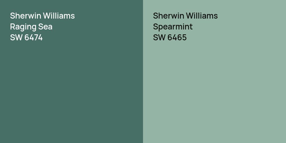 Sherwin Williams Raging Sea vs. Sherwin Williams Spearmint