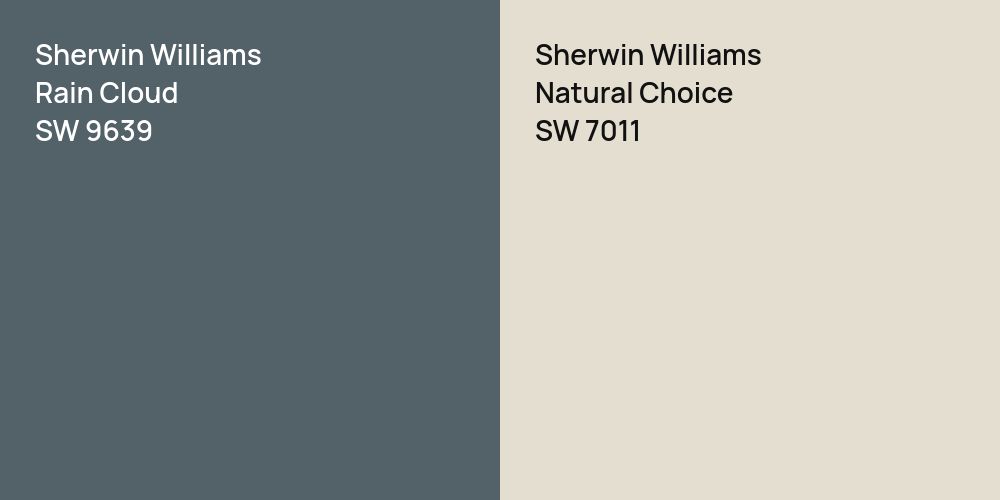 Sherwin Williams Rain Cloud vs. Sherwin Williams Natural Choice