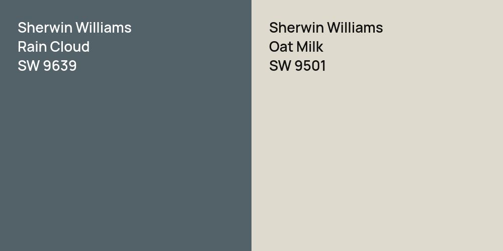 Sherwin Williams Rain Cloud vs. Sherwin Williams Oat Milk